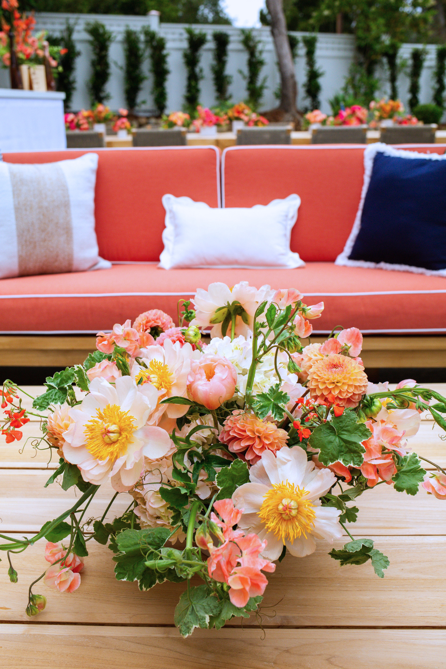 Summer Spritz