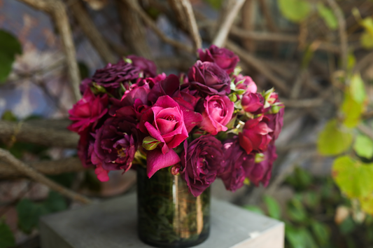 A flower arrangement to celebrate Mother's Day, featuring a mix of purple and pink garden roses from Rose Story Farm. Set in a background of vines.