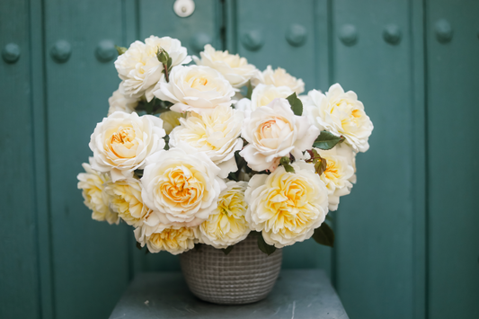 A flower arrangement featuring open blooms of soft yellow garden roses from Rose Story Farm in Santa Barbara, CA.
