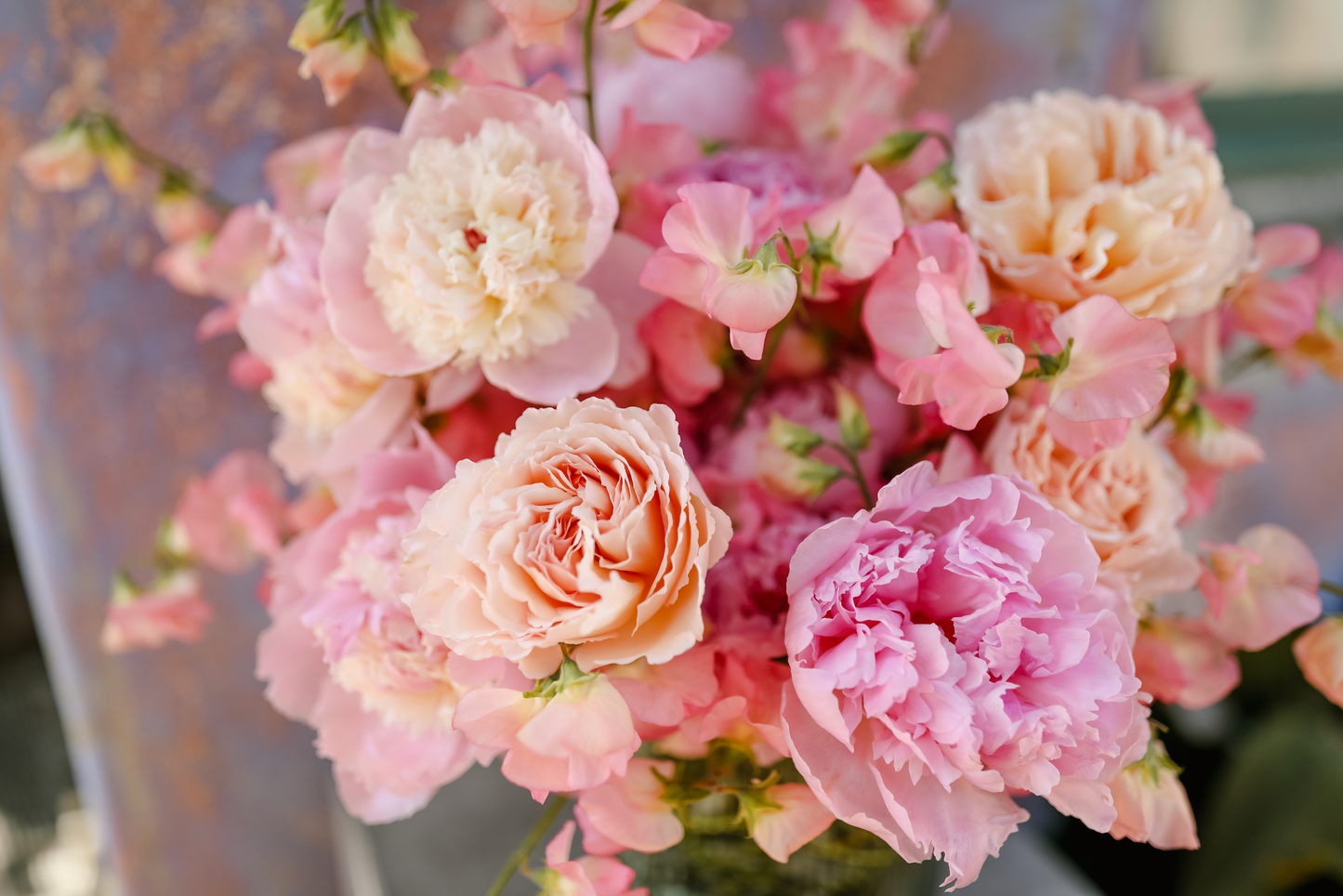 Close up of a flower arrangement to celebrate Mother's Day, Peaches and Pinks - featuring Peonies, Sweet Peas, and Garden Roses from Rose Story Farm  (Large size pictured)
